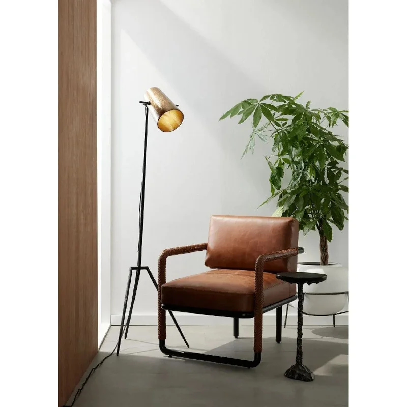 Track lighting for accentuating artworksDraper Floor Lamp
