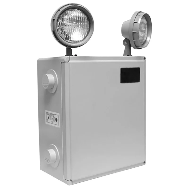 Track lighting with a brushed nickel finishChloride Max-Lite Series Emergency Unit