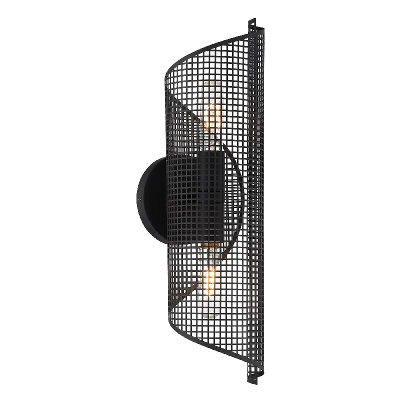 Track lighting for highlighting bookcasesHillbourne 2-Light Wall Sconce