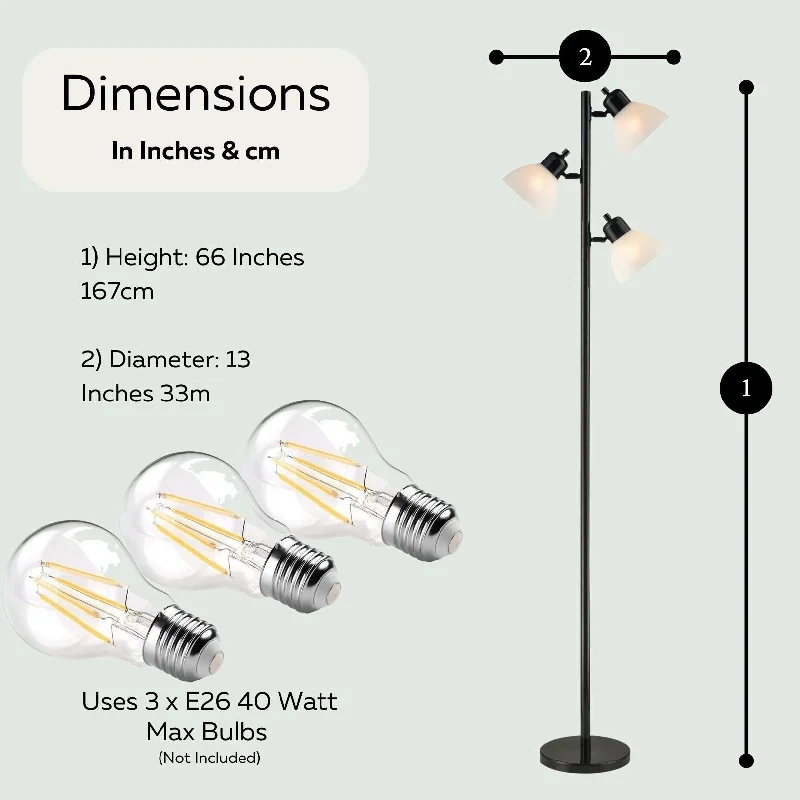 Dimmable Floor Lamp for Adjustable Lighting AmbianceDimmable Floor Lamp for Adjustable Lighting Ambiance3 Light Floor Lamp Tree Floor Lamp Black - 13 Inches Diam. 66 Inches Height Dimmable Floor Lamp for Adjustable Lighting AmbianceDimmable Floor Lamp for Adjustable Lighting Ambiance3 Light Floor Lamp Tree Floor Lamp Black - 13 Inches Diam. 66 Inches Height