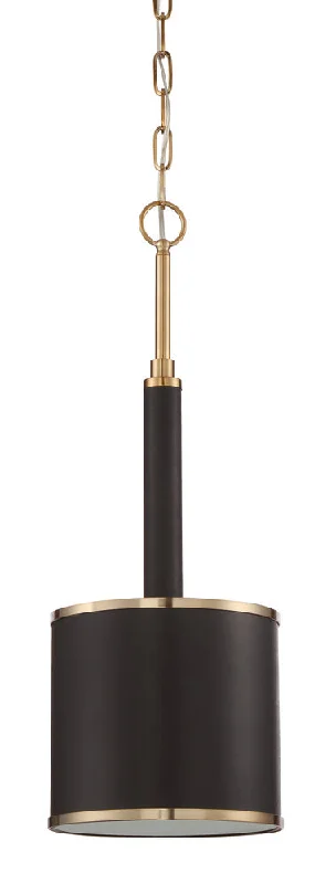 Retro Ceiling Lights Inspired by the 1950s and 1960s DesignRetro Ceiling Lights Inspired by the 1950s and 1960s Design1 Light Mini Pendant Retro Ceiling Lights Inspired by the 1950s and 1960s DesignRetro Ceiling Lights Inspired by the 1950s and 1960s Design1 Light Mini Pendant